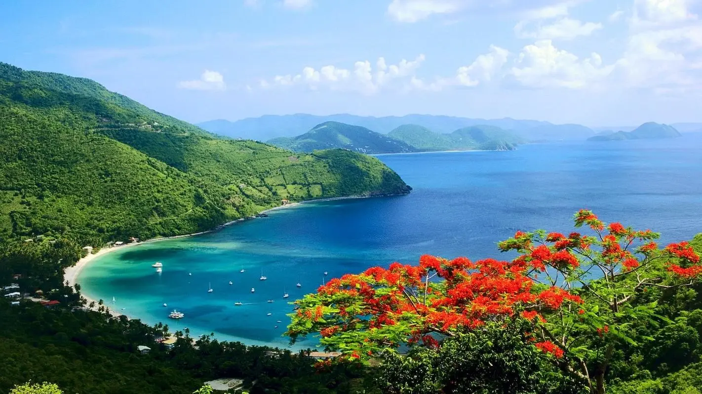 高质量绿色高性能